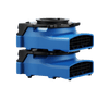 THORAIR® Pro HEPA Filter Turtle Carpet Blower | Efficient and Powerful Drying | Thorair